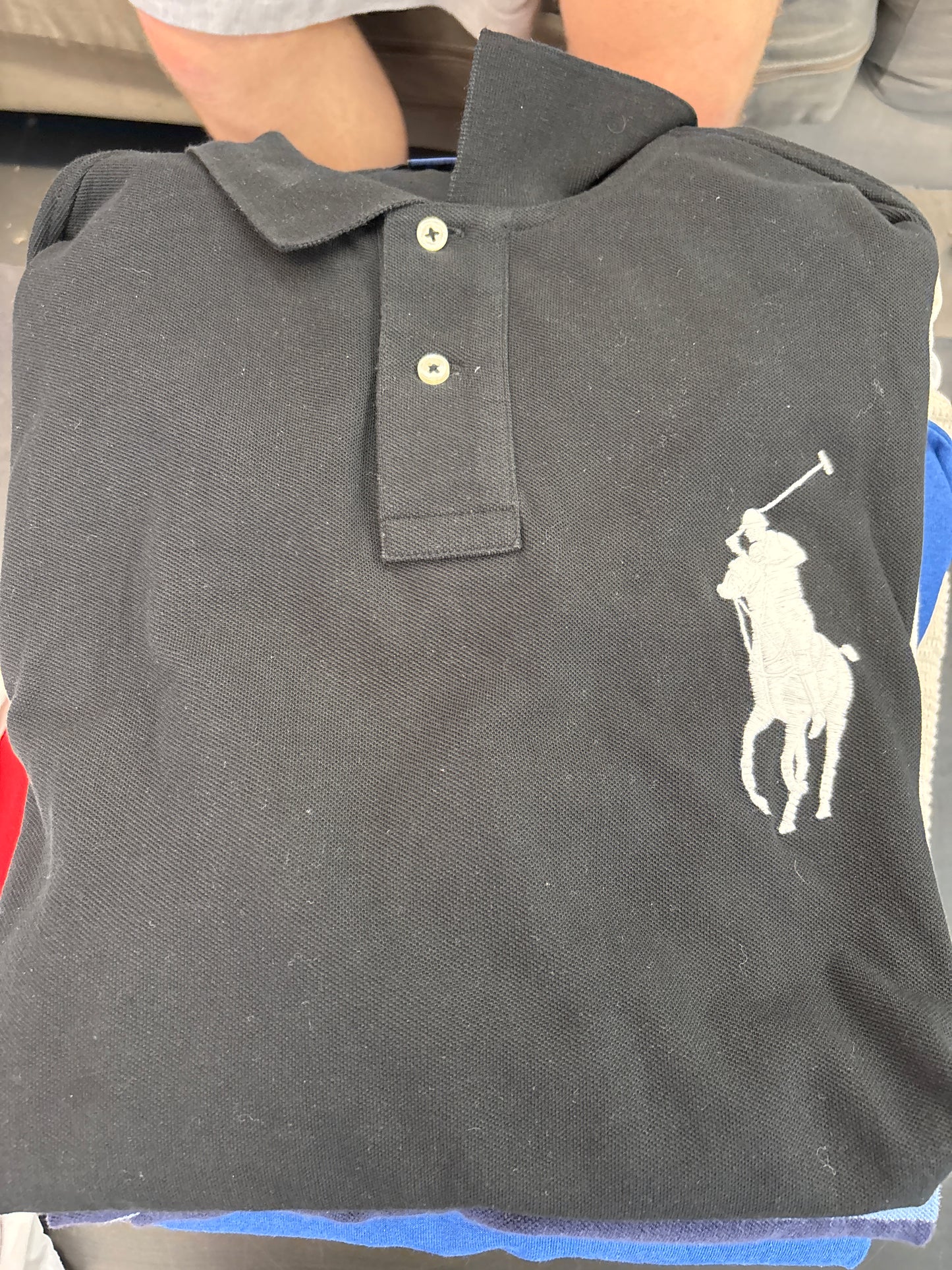 Black white polo big pony